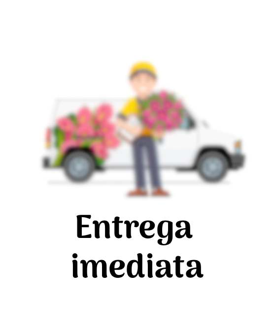 Entrega Imediata