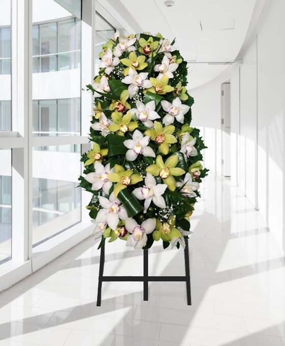 Palma fúnebre vertical de orquídeas brancas e verde-lima, sobre tripé